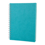 ALTINDAĞ TURKUAZ KARELİ SPİRALLİ TARİHSİZ DEFTER (17X24 CM) 13 ALTINDAĞ TURKUAZ KARELİ SPİRALLİ TARİHSİZ DEFTER (17X24 CM)